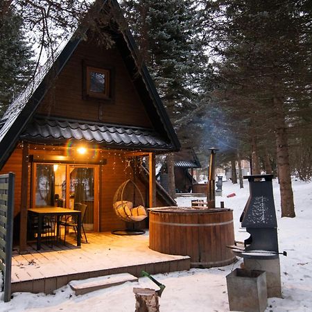 Oliwne Wzgórza Vila Stronie Śląskie Exterior foto
