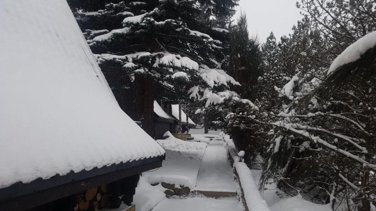 Oliwne Wzgórza Vila Stronie Śląskie Exterior foto