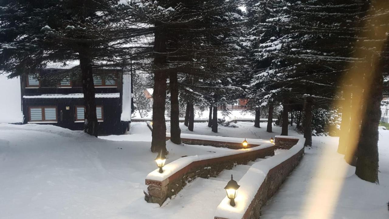 Oliwne Wzgórza Vila Stronie Śląskie Exterior foto